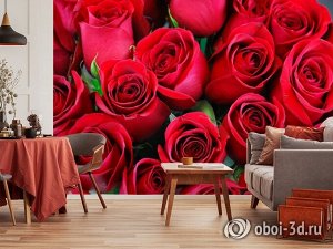 3D Фотообои «Нежные бордовые розы»