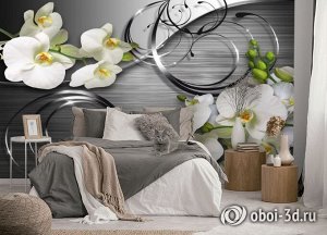 Design Studio 3D 3D Фотообои «Орхидеи на серебристом металле»