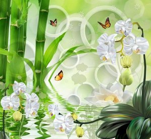 Фотообои Орхидеи на салатовом фоне в стиле спа
