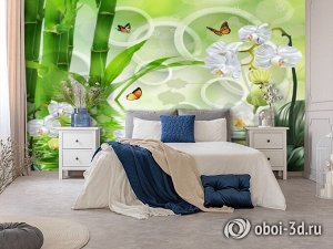 3D Фотообои «Орхидеи на салатовом фоне в стиле спа»