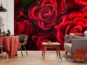 3D Фотообои «Бордовые розы»