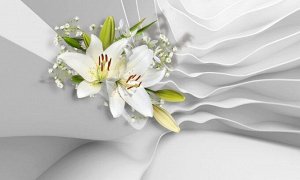 3D Фотообои «Лилии на объемном фоне»