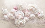 3D Фотообои «Композиция с роскошными пионами»