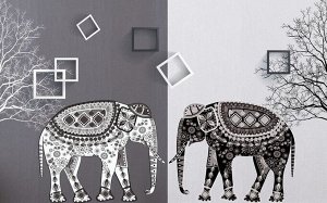 3D Фотообои «Слоны в стиле модерн»