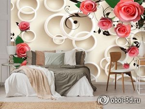 3D Фотообои «Розы с кругами»