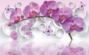 3D Фотообои «Орхидея с объемными кругами»
