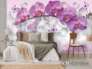 3D Фотообои «Орхидея с объемными кругами»