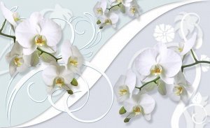 3D Фотообои «Нежная композиция с орхидеями»