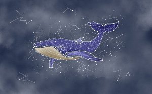 3D Фотообои «Звездный кит»