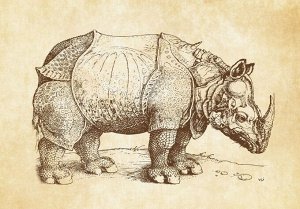 3D Фотообои «Носорог Дюрера»