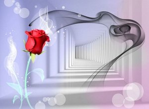 3D Фотообои «Красная роза в тоннеле»