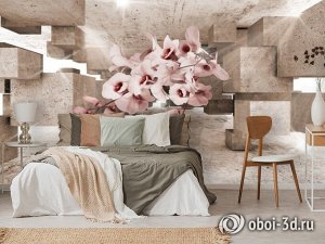 Design Studio 3D 3D Фотообои «Орхидеи в солнечном кубическом ангаре»