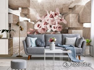 Design Studio 3D 3D Фотообои «Орхидеи в солнечном кубическом ангаре»