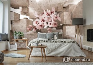 Design Studio 3D 3D Фотообои «Орхидеи в солнечном кубическом ангаре»