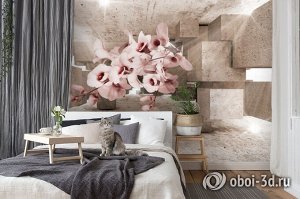 Design Studio 3D 3D Фотообои «Орхидеи в солнечном кубическом ангаре»