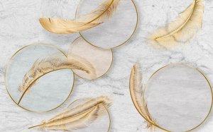 3D Фотообои «Золотые перья с кругами»