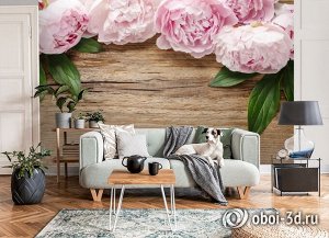 3D Фотообои «Пионы на деревянном фоне»