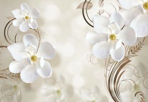 3D Фотообои  «Нежные белые цветы с узором»