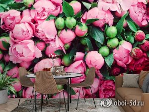 3D Фотообои «Бутоны пионов»