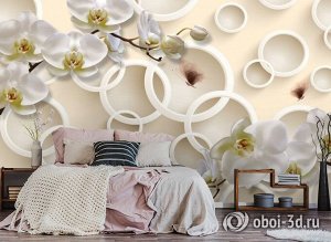 3D Фотообои  «Кремовые орхидеи с объёмными кругами и бабочками»
