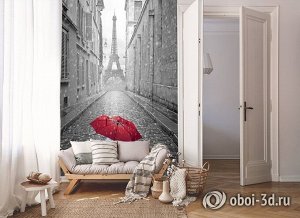 3D Фотообои «Дождь в Париже»