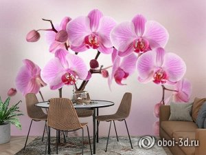 3D Фотообои «Розовая орхидея над водой»