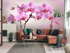 3D Фотообои «Розовая орхидея над водой»