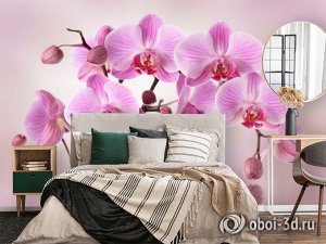 3D Фотообои «Розовая орхидея над водой»