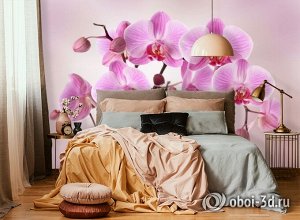3D Фотообои «Розовая орхидея над водой»