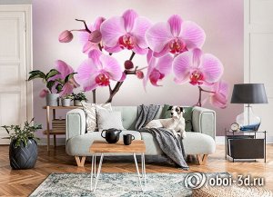 3D Фотообои «Розовая орхидея над водой»
