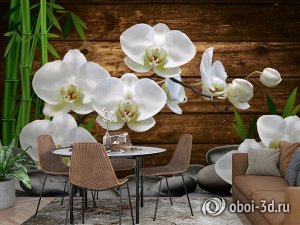 3D Фотообои «Белые орхидеи на камнях»