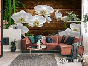 3D Фотообои «Белые орхидеи на камнях»