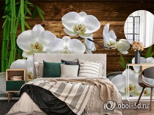 3D Фотообои «Белые орхидеи на камнях»
