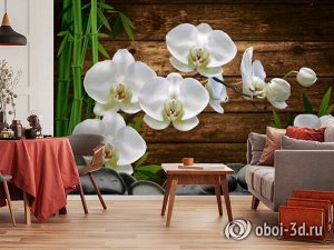 3D Фотообои «Белые орхидеи на камнях»