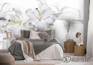 3D Фотообои «Пара белых лилий в дымке»