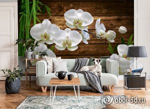 3D Фотообои «Белые орхидеи на камнях»