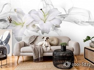 3D Фотообои «Пара белых лилий в дымке»
