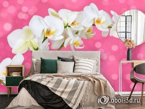 3D Фотообои «Белая орхидея на розовом фоне»