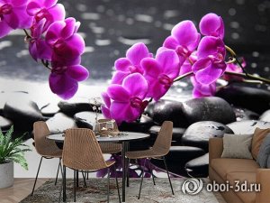 3D Фотообои «Орхидеи на камнях»