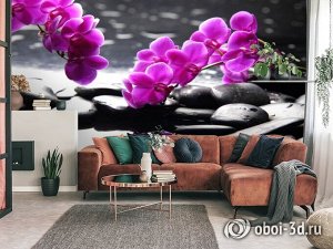 3D Фотообои «Орхидеи на камнях»
