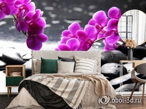 3D Фотообои «Орхидеи на камнях»