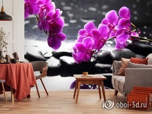 3D Фотообои «Орхидеи на камнях»