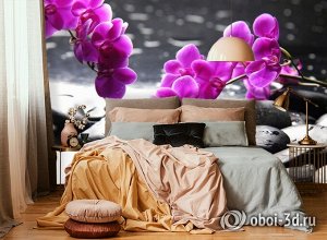 3D Фотообои «Орхидеи на камнях»
