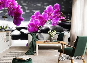 3D Фотообои «Орхидеи на камнях»