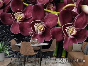 3D Фотообои «Орхидеи и капли воды»