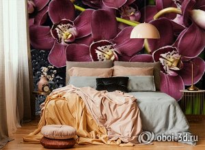 3D Фотообои «Орхидеи и капли воды»