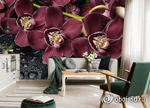 3D Фотообои «Орхидеи и капли воды»