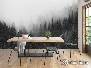 3D Фотообои «Черно-белый лес в тумане»