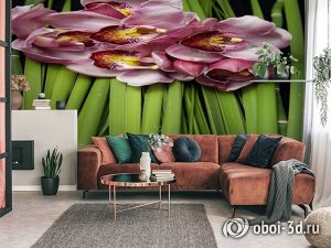 3D Фотообои «Красивые орхидеи»