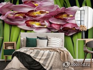 3D Фотообои «Красивые орхидеи»